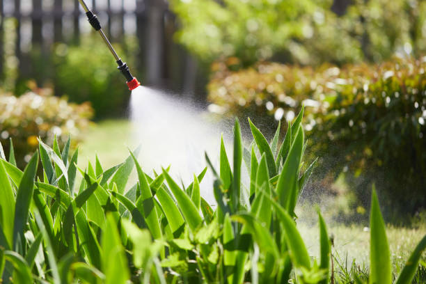 24/7 Emergency Ant Control experts in Sunset, UT